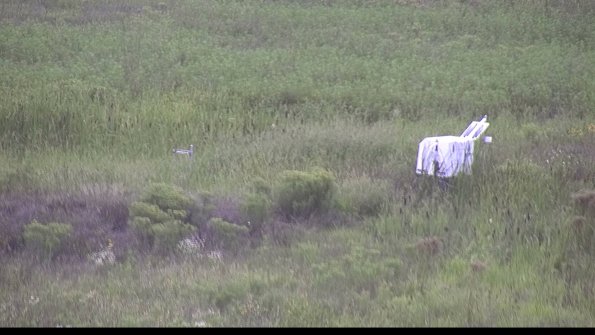 capture-5-23-08-13_18-50-46-21