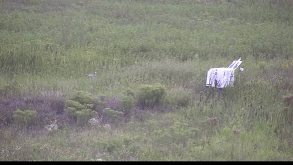 capture-5-23-08-13_19-16-46-35