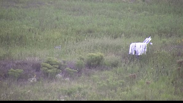 capture-5-23-08-13_19-32-46-17