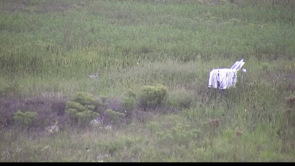 capture-5-23-08-13_19-42-46-13