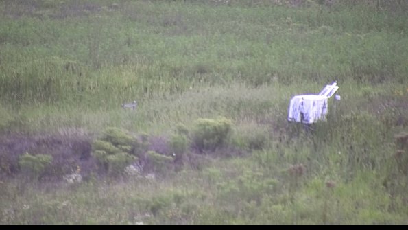 capture-5-23-08-13_20-04-45-63