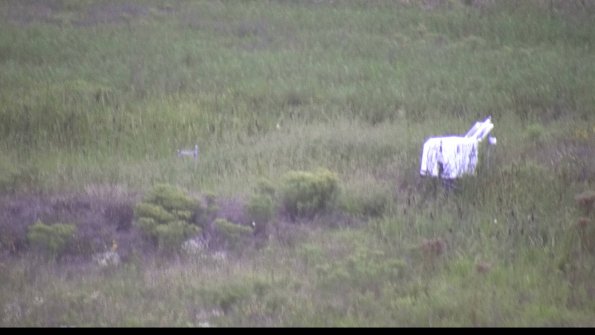 capture-5-23-08-13_20-30-45-62