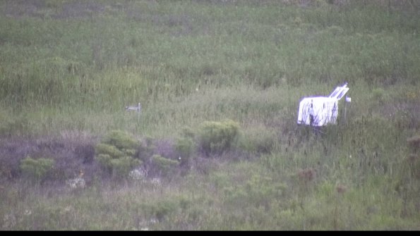 capture-5-23-08-13_20-42-46-30