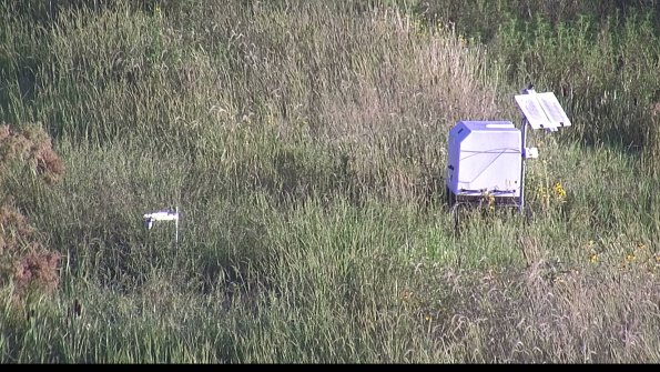 capture-6-23-08-13_08-02-17-29