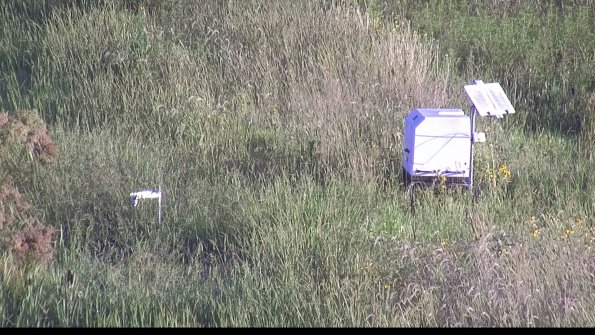 capture-6-23-08-13_08-10-17-21