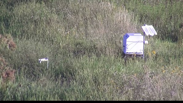 capture-6-23-08-13_08-22-17-10