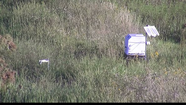 capture-6-23-08-13_08-24-17-02