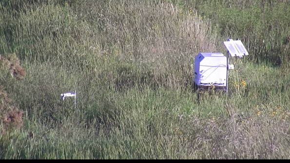 capture-6-23-08-13_08-26-17-04