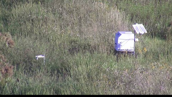 capture-6-23-08-13_08-34-16-42