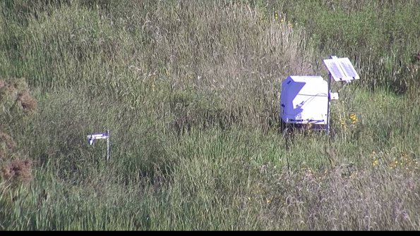 capture-6-23-08-13_08-52-17-11