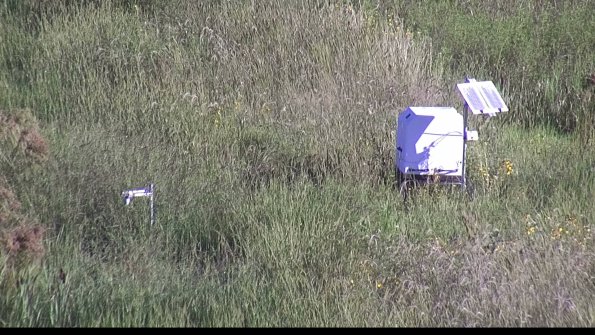 capture-6-23-08-13_08-56-17-05