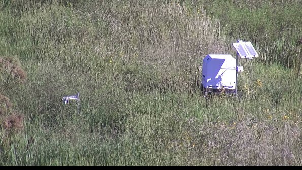 capture-6-23-08-13_09-12-17-25