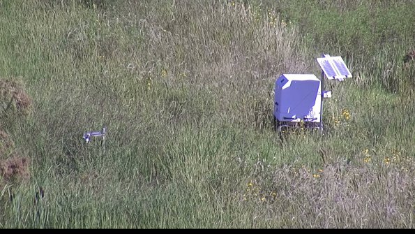 capture-6-23-08-13_10-10-17-31