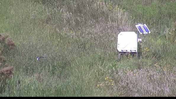 capture-6-23-08-13_15-02-59-47