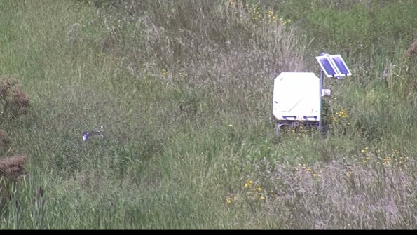 capture-6-23-08-13_15-13-00-24