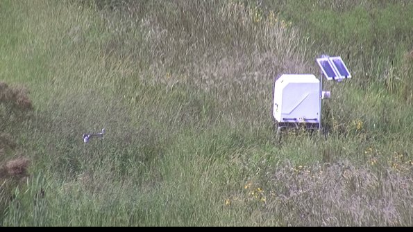 capture-6-23-08-13_16-10-59-85