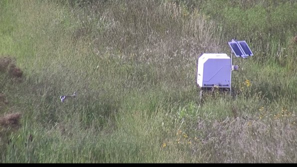 capture-6-23-08-13_18-14-59-99