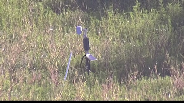 capture-7-23-08-13_08-26-32-19