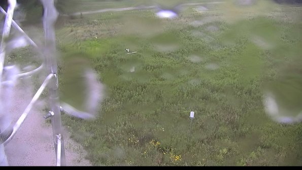 capture-1-23-08-15_08-33-42-93