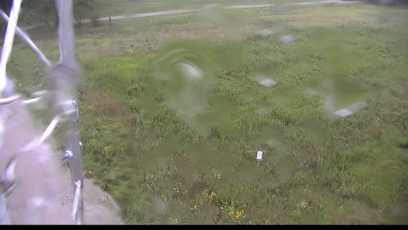 capture-1-23-08-15_08-37-43-50