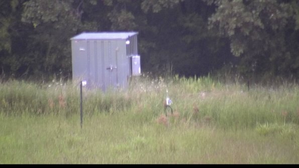 capture-2-23-08-15_07-04-01-81