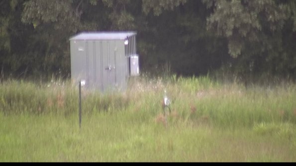 capture-2-23-08-15_08-02-01-78