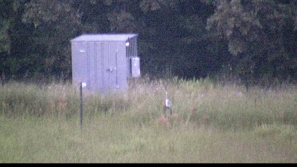 capture-2-23-08-15_20-54-05-76