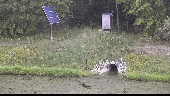 capture-3-23-08-15_14-31-59-68