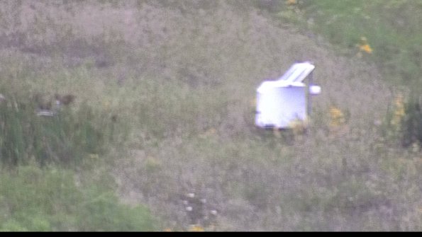 capture-4-23-08-15_07-14-29-81