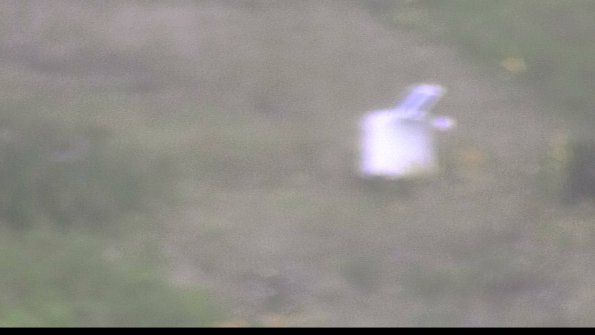 capture-4-23-08-15_08-20-29-63