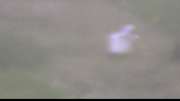 capture-4-23-08-15_08-24-30-17