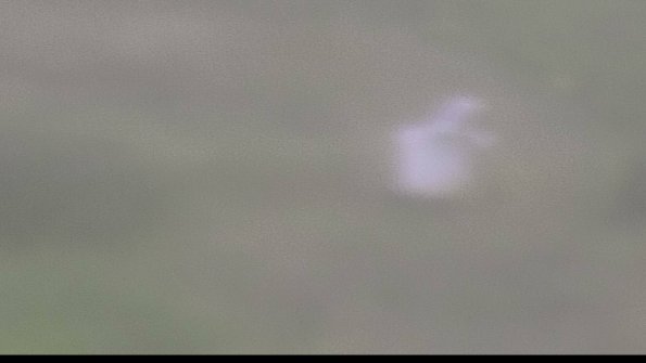 capture-4-23-08-15_08-38-31-32