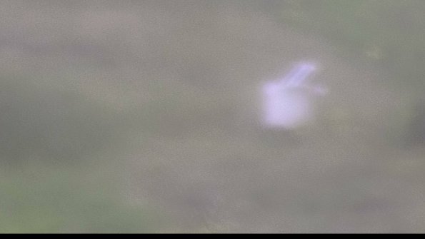 capture-4-23-08-15_09-08-29-77