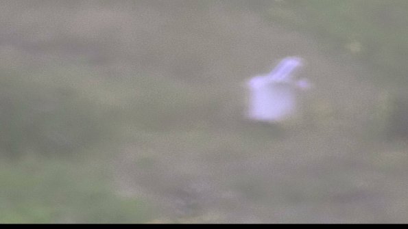 capture-4-23-08-15_09-24-29-70