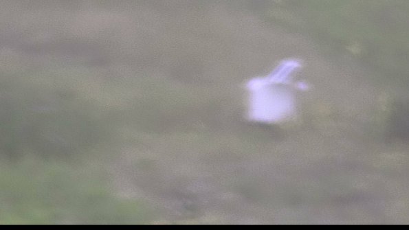 capture-4-23-08-15_09-26-29-64