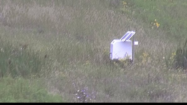 capture-4-23-08-15_13-00-15-95