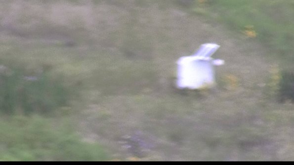 capture-4-23-08-15_15-56-15-55