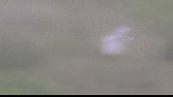 capture-4-23-08-15_16-44-16-03