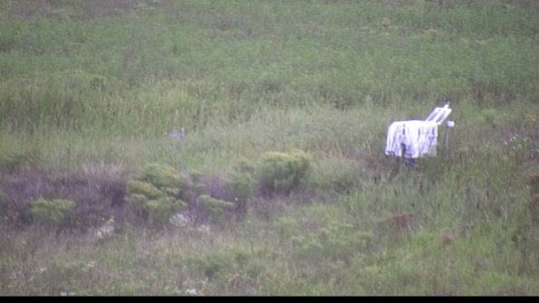 capture-5-23-08-15_07-30-44-53