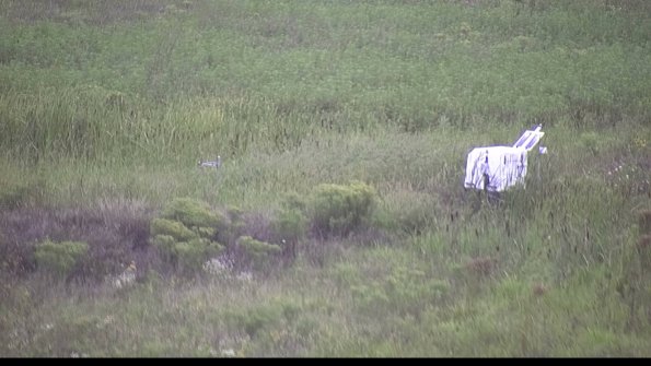 capture-5-23-08-15_08-00-45-34