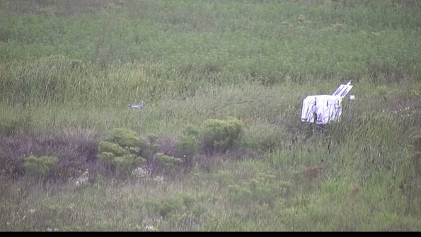 capture-5-23-08-15_08-08-44-45