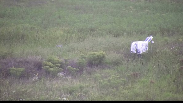 capture-5-23-08-15_08-18-45-36