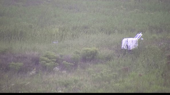 capture-5-23-08-15_08-22-44-60