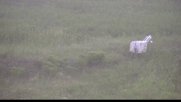 capture-5-23-08-15_09-02-45-23