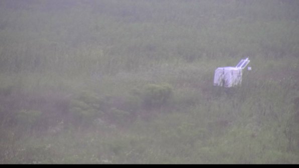 capture-5-23-08-15_09-04-43-84