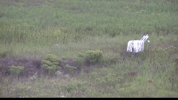 capture-5-23-08-15_10-40-30-12