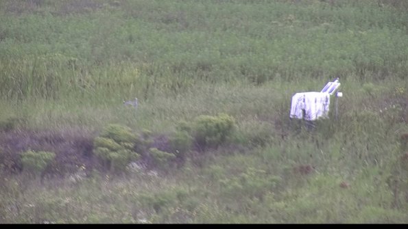 capture-5-23-08-15_10-42-29-90