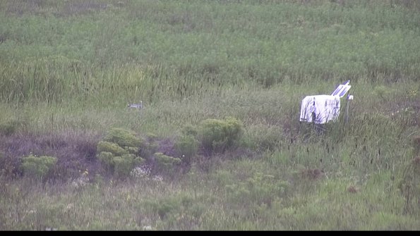 capture-5-23-08-15_10-48-29-80