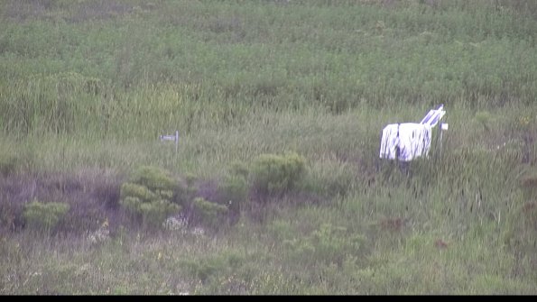 capture-5-23-08-15_11-22-29-82