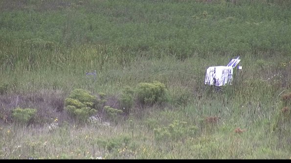 capture-5-23-08-15_11-40-29-69